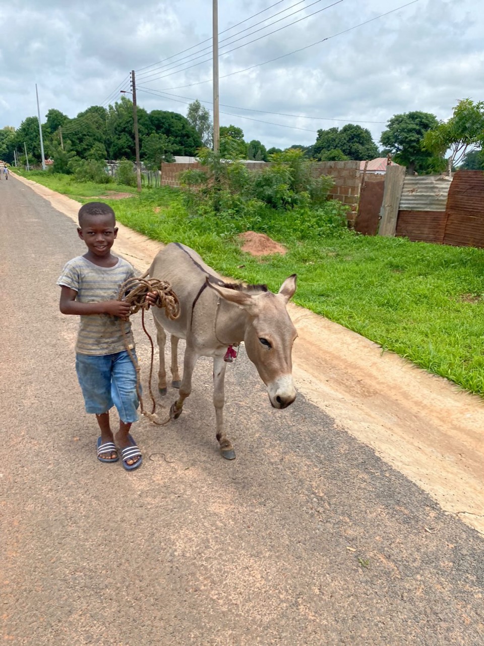 A child standing beside a donkey on a village road